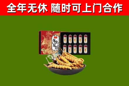 太原回收冬虫夏草价格
